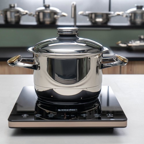 Индукционная плита Zepter Induction Cooker IC-001