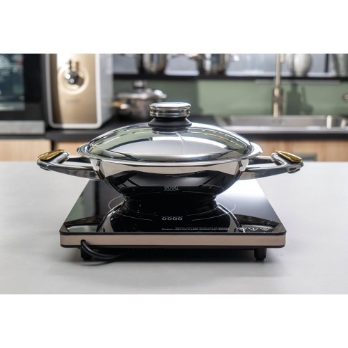 Индукционная плита Zepter Induction Cooker IC-001